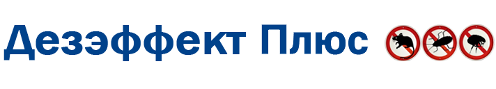 Дезэффект Плюс